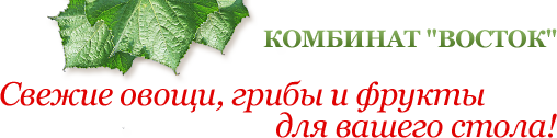 ОАО "Комбинат "Восток"